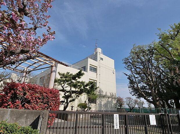 横浜市立桜台小学校 550m
