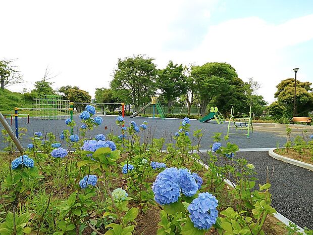 洋光台南公園　140m　野球場や芝生公園・遊具公園・プール・テニスコートなどと多目的に利用できるスポーツ公園です 