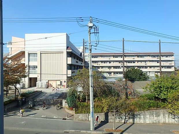 横浜市立森の台小学校 1000m