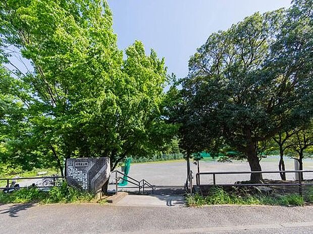 緑園東公園　1200m　広く平らな敷地がサッカーや野球などの球技に適し、スポーツチームが利用することも多い公園。 