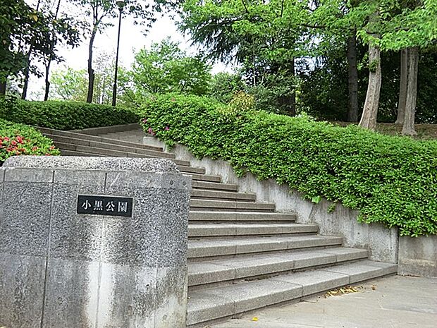 小黒公園 600m 桜が見所の公園です。広場を囲むように遊歩道があり散策も楽しめます。