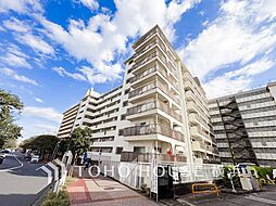 美しが丘ルピナス