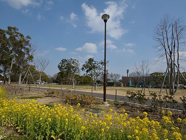 金井公園　350m　恵まれた自然環境を有する公園。スポーツ施設もありますが散策するだけでも充分楽しめます。