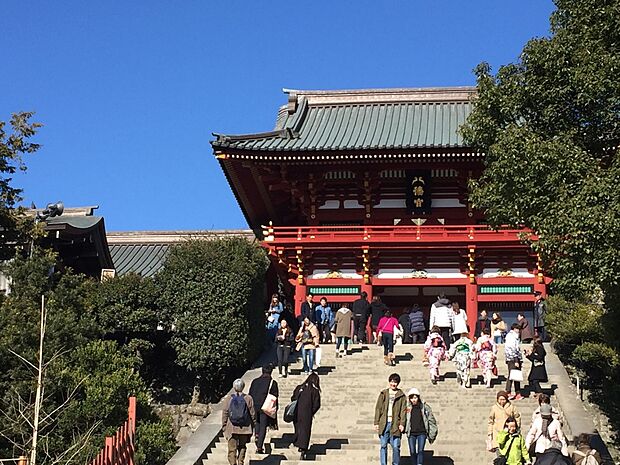 鶴岡八幡宮　2100m　鎌倉初代将軍源頼朝ゆかりの神社。鎌倉駅から八幡宮までの道のりも楽しく休日はたくさんの人で賑わいます。 
