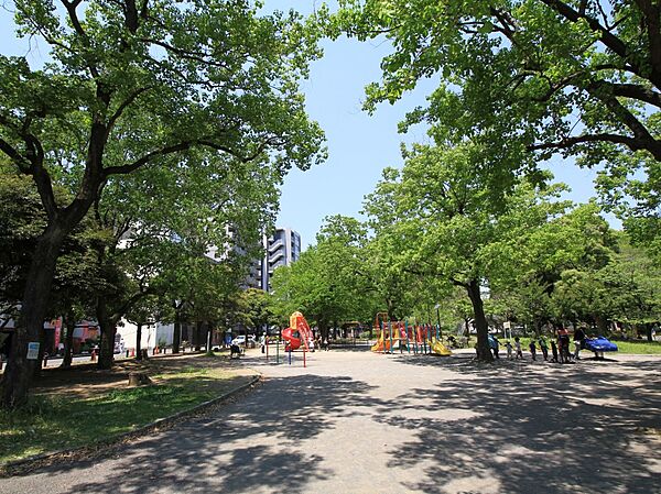 反町公園　800m　たくさんの木々に囲まれ、ゆったりと過ごすことのできる癒しの空間です。