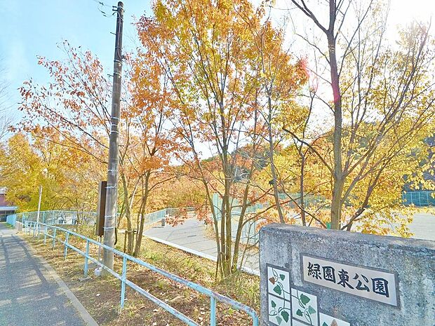 緑園東公園 1200m 広く平らな敷地がサッカーや野球などの球技に適し、スポーツチームが利用することも多い公園。