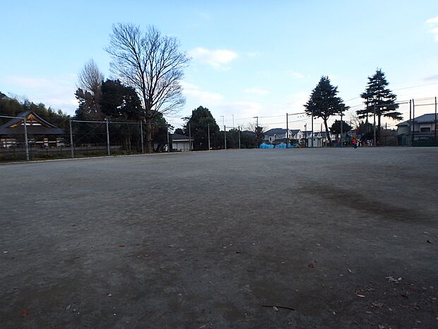 今宿西町公園 800m 住宅街に立地する見通しの良い公園です。