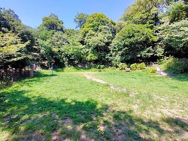 松ノ内公園 260m 高台にある緑豊かな公園で一番高い馬の背遊歩道のベンチからは西に富士山を遠望できます。