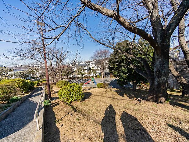 荏田第四公園　300m　住宅街に立地する緑潤う公園。毎日のお散歩コースにも。 
