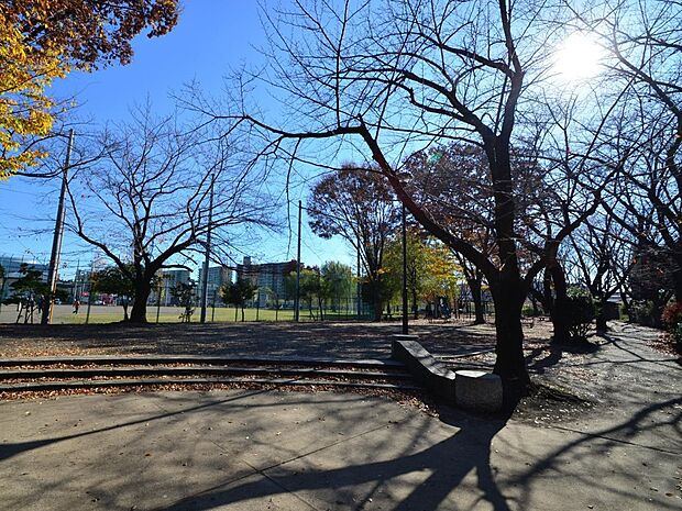 佐江戸公園 750m 鶴見川近くの広い多目的広場のある公園です。春には桜がきれいに咲き、お花見も楽しめます。