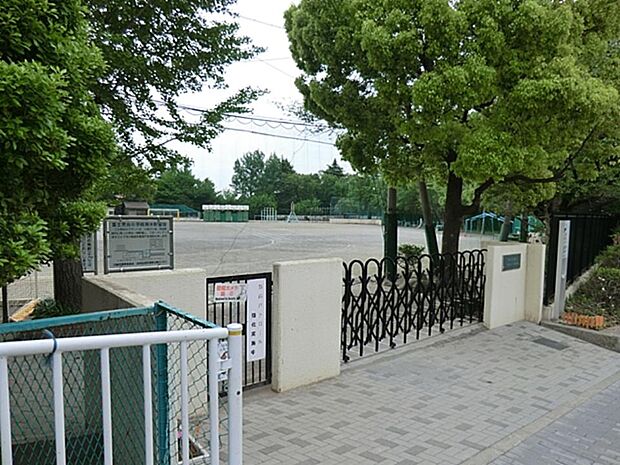 川崎市立富士見台小学校 1200m