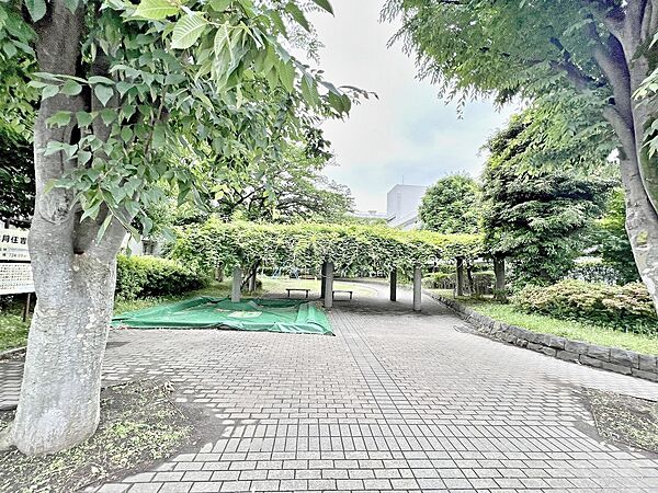 木月住吉北公園　550m　翠溢れる街のオアシスとして、近隣の方に愛されています。
