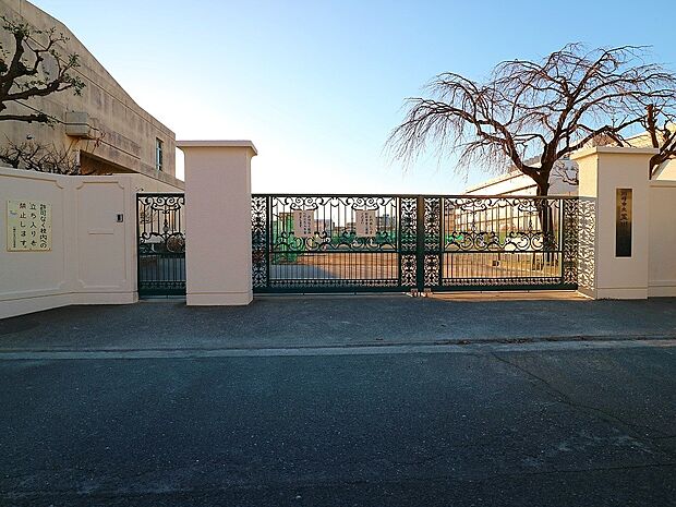 川崎市立玉川中学校　650m　 