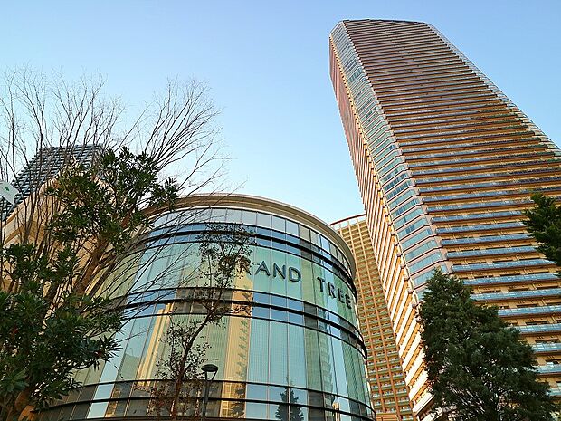 グランツリー武蔵小杉　1600m　823台収容できる地下駐車場があり、家族揃って一日楽しめるショッピングモール。 