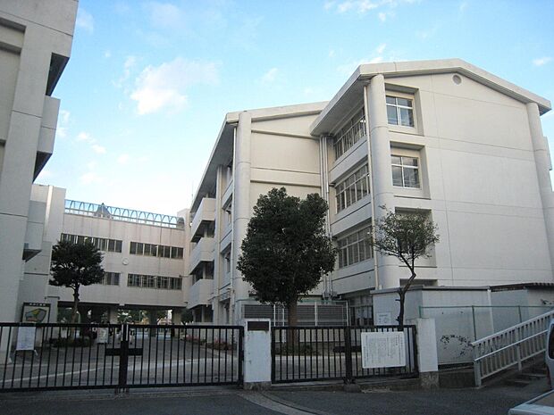 横浜市立小田小学校　550m　 