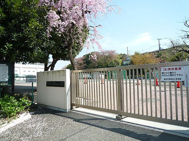 横浜市立笹野台小学校　600m　 