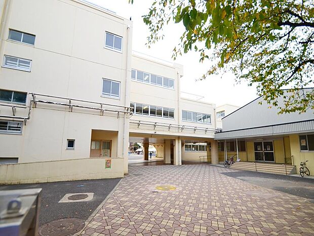 横浜市立寺尾小学校　800m　 