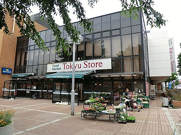 東急ストアつくし野店　1000m　毎日の食卓を彩る食料品が品揃え豊富に揃います。100円ショップ、本屋などのテナントがあり便利です。   