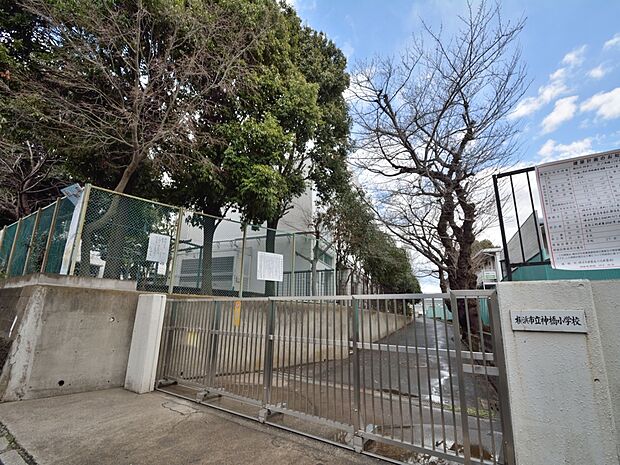 横浜市立神橋小学校　550m　 