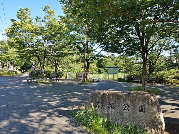 岸根公園 110m 桜の名所。広場、遊具、そして緑の多い園内をぐるりと散歩道があり一年中楽しめる公園です。