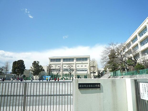 横浜市立田奈小学校　1500m　 