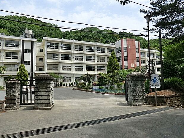 逗子市立逗子中学校 1100m