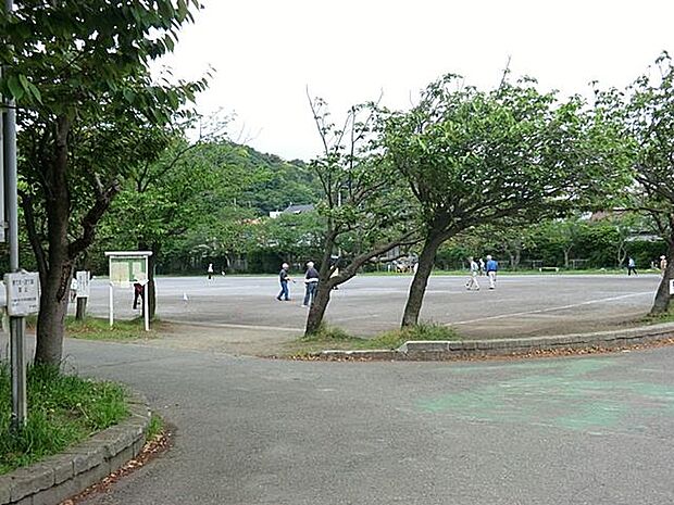 第一運動公園 1500m 野球場やテニスコート、サッカーなどの練習ができる広場、ドックランスペースなどが整備されています。