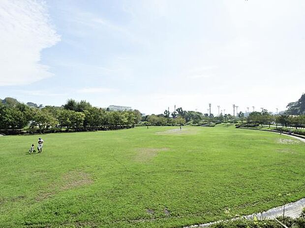 日野中央公園 　350m　開放的な芝生広場を中心に、子ども達に人気のせせらぎ池、野球場やテニスコートなどの運動施設があります。 