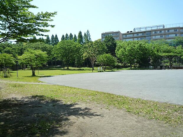 沢渡中央公園　1300m　走り回れる広場をぐるりと木立が囲み、おだやかな雰囲気が漂う公園です。 