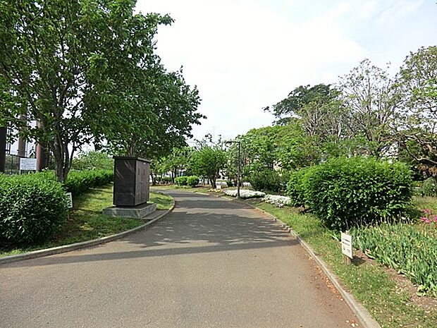 瀬谷本郷公園 850m テニスコート、野球場、芝生広場が完備されており、子ども用の遊具も有ります。