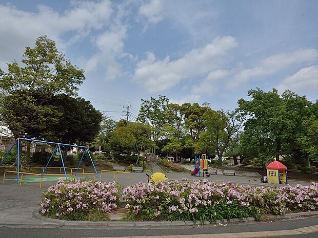 白百合公園 800m プールもある市民の憩いの場。遊歩道を散歩するだけで気持ちの良い公園。