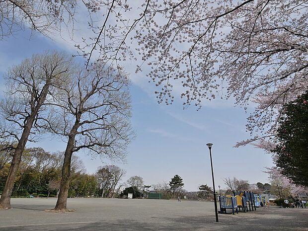 川上公園 550m 広い広場や遊具のある見晴らしの良い公園。春には桜の下でお花見ができます。