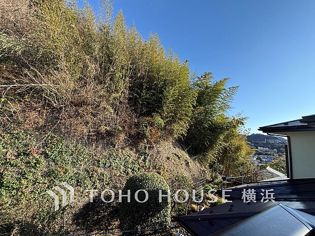 木々の緑がまぶしい、豊かな緑と静寂。ずっと見ていたいと思わせてくれる景色。