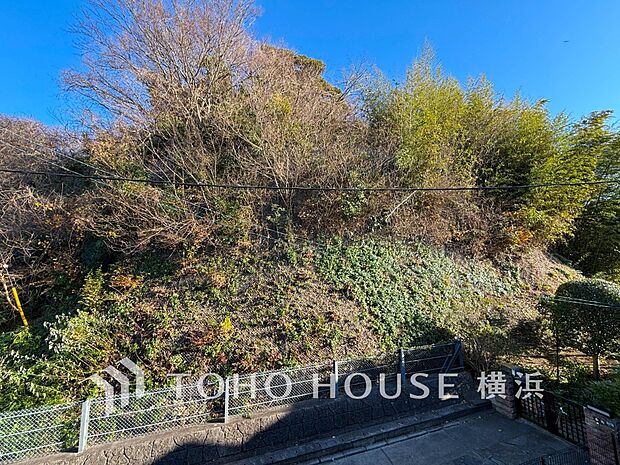 木々の緑がまぶしい、豊かな緑と静寂。ずっと見ていたいと思わせてくれる景色。