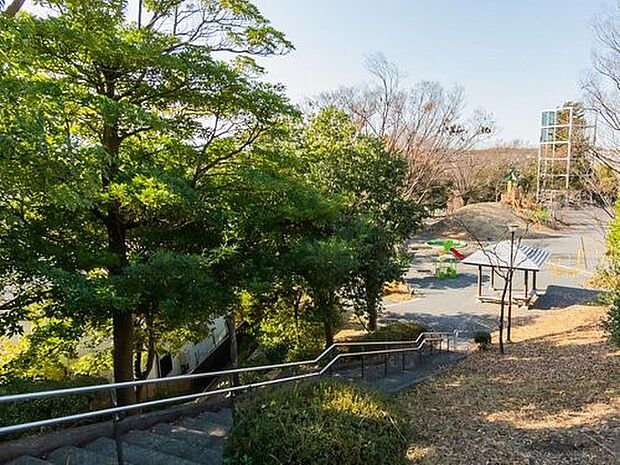 大場かやのき公園　71m　その名の通り大きなかやの木がシンボルツリーの近隣公園です。 