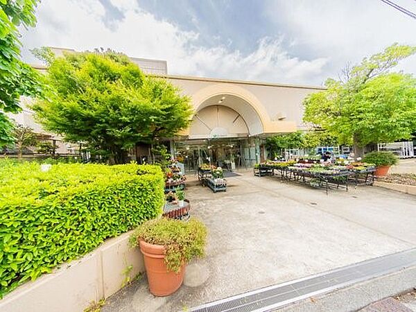 京急ストア能見台店　1300m　10時～20時営業。ドラッグストアや100円ショップも入店していて便利です。