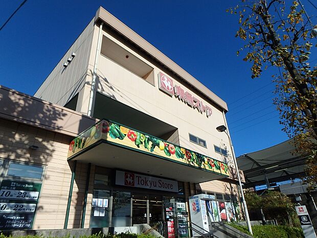 東急ストア江田店　800m　毎日の食卓を彩る食料品が品揃え豊富に揃います。ドラッグストア「トモズ」併設。日用品のお買い物も便利。 