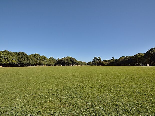 岸根公園　450m　桜の名所として知られていますが、広場、遊具、緑の多い園内をぐるりと散歩道があり一年中楽しめる公園。 