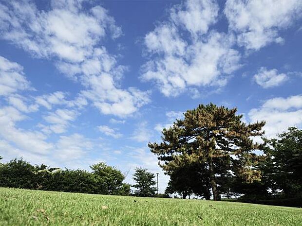 本牧山頂公園 170m 本牧の山頂にある見晴らしの良い広大な自然公園です。