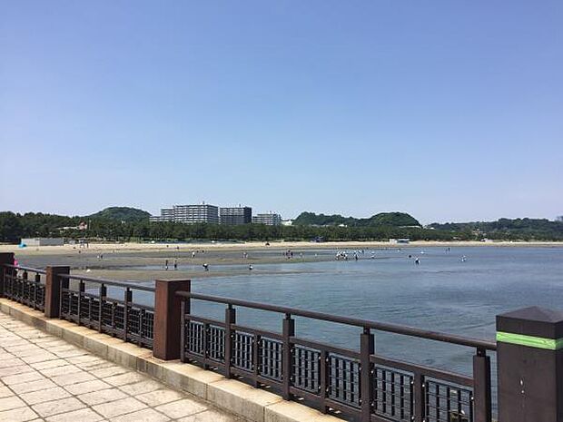 海の公園 240m 穏やかな波で小さなお子様連れでも安心して遊べる人工の砂浜。