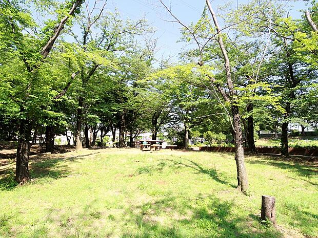 日限山公園　800m　みどりいっぱいで癒される公園。遊具も揃っているので、小さなお子様も楽しく遊べます。   