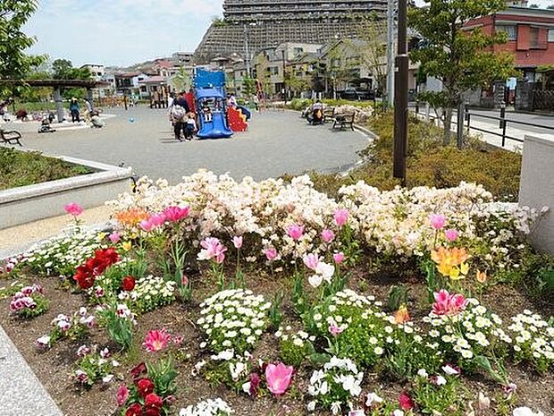大岡公園　800m　春には約60本もの桜の木がピンク色に染まる景色を楽しむことができます。 