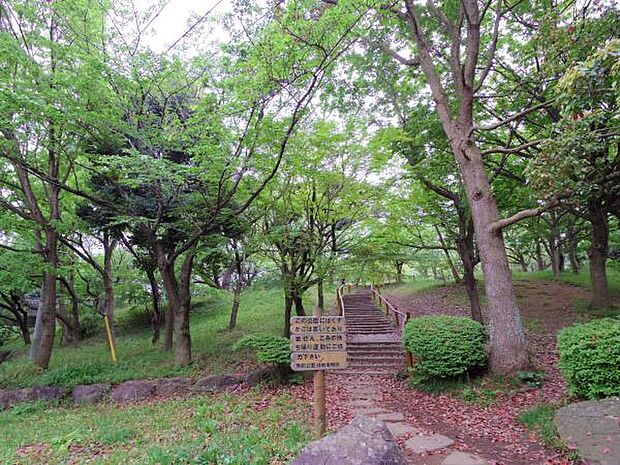 舞岡公園　500m　昔ながらの田園風景が残された自然いっぱいの広大な公園。春には美しい桜の下でお花見が楽しめます。 