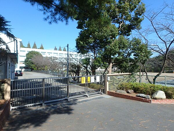 横浜市立都岡中学校　750m　