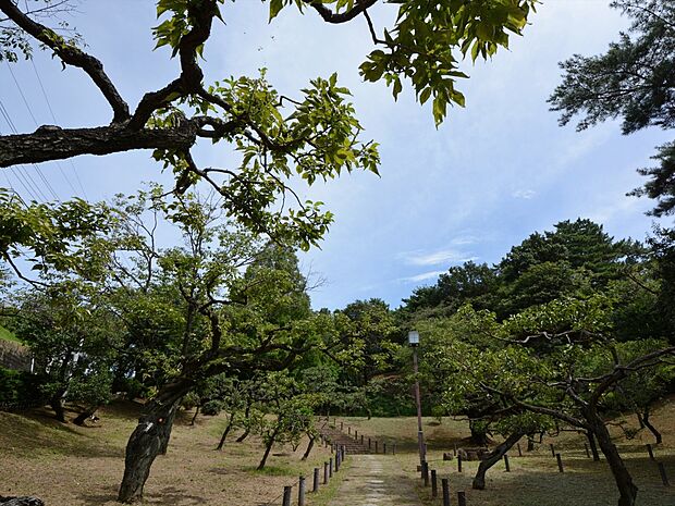 大倉山公園　140m　園内には梅林があり梅の名所として知られている公園。毎年早春になると大勢の観梅客が訪れて賑わいます。 