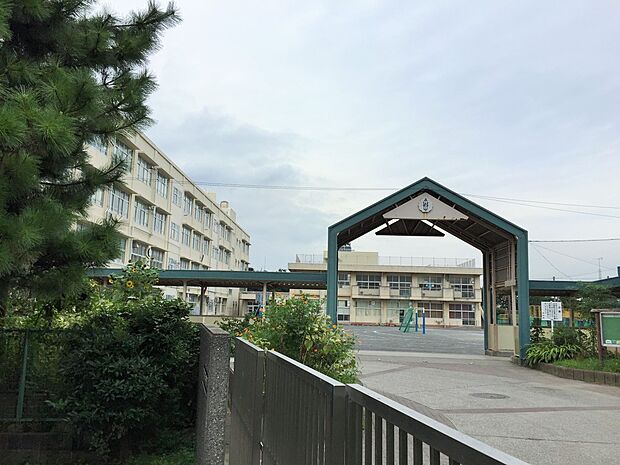 横浜市立芹が谷小学校　500m　 