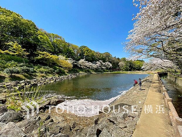 泉の森　350m　引地川の源である大和水源地を中心に広がる自然溢れる公園です。 