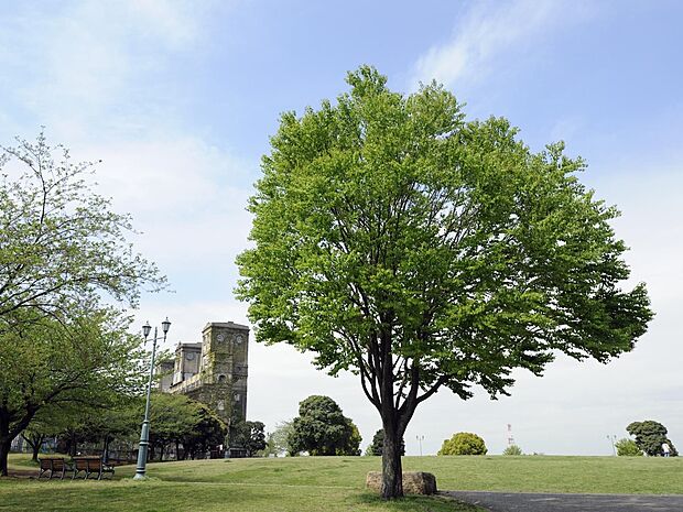 根岸森林公園 450m なだらかな敷地いっぱいに広がる芝生で、のびのび遊べる公園です。春の桜は見事です。