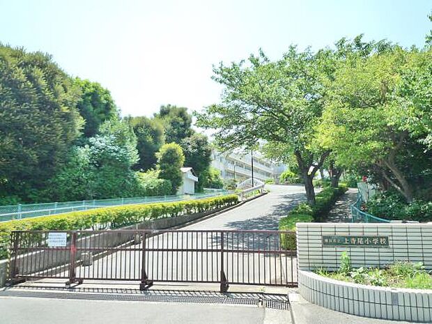 上寺尾小学校 　700m　 