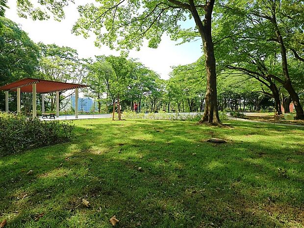 泉中央公園 1100m 自然の森の中にある広場で、ブランコやすべり台、アスレチックなどの遊具があります。